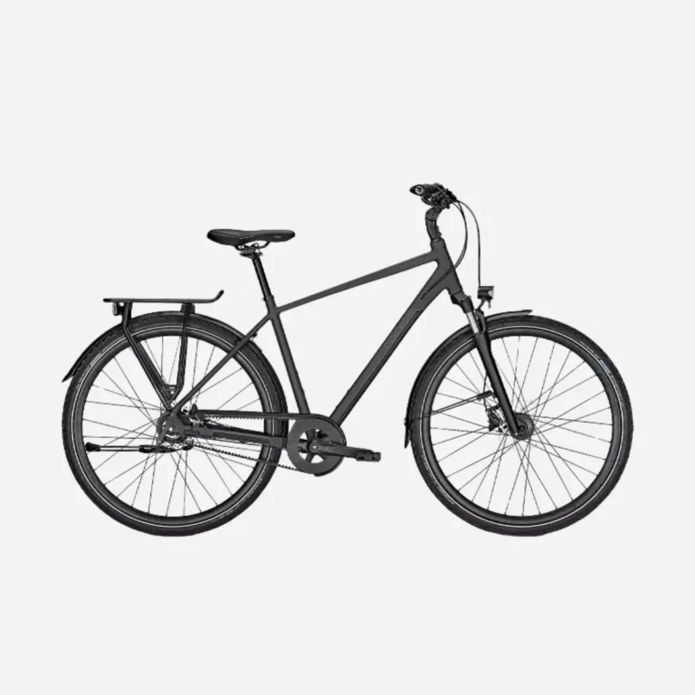 Bicicleta trekking