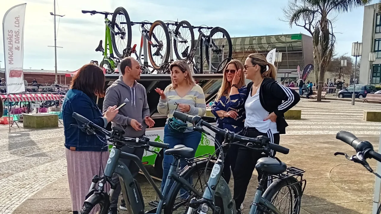 Bike Tours