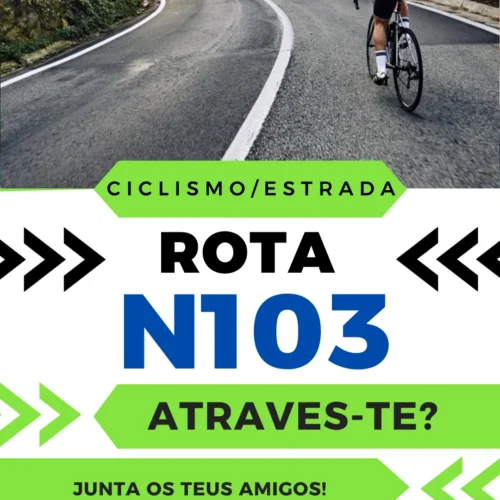 N103